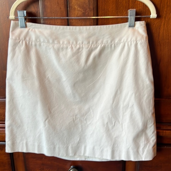 Ann Taylor Lined Mini-Skirt, 8 - Picture 1 of 4